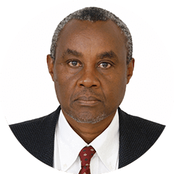 MR. STEPHEN GICHOHI