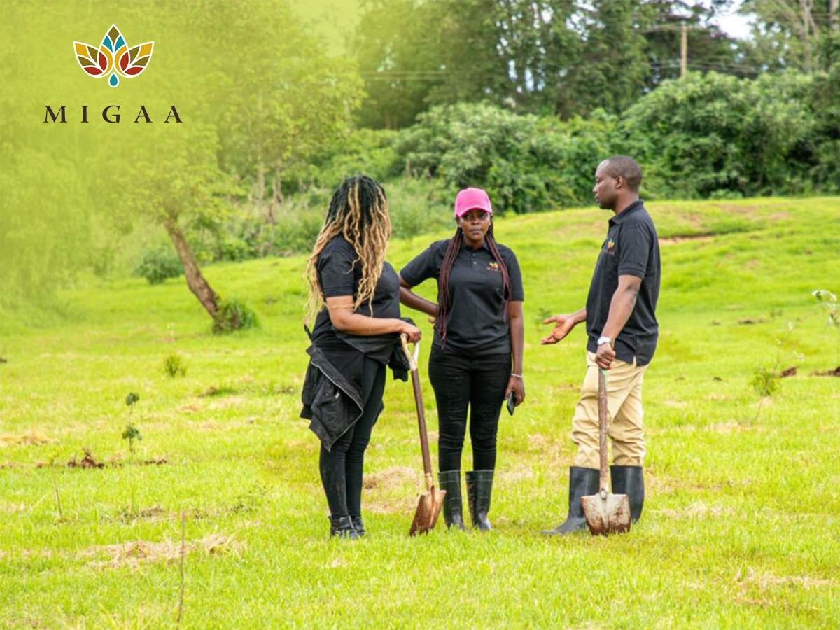 Migaa Golf Estate view with residential plots, golf course, and lush greenery in Kiambu County.
