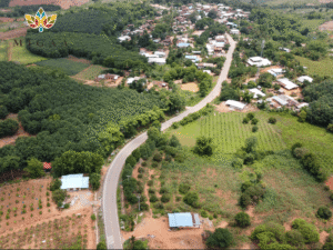 Beginner's guide to land buying in Kenya with tips on smart investment and trusted real estate options