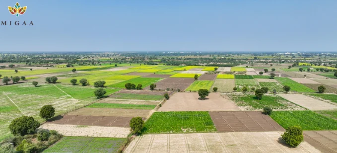 15 Tips for Buying a Residential Plot in Kenya